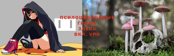 ГАЛЛЮЦИНОГЕННЫЕ ГРИБЫ Медногорск