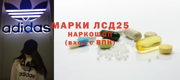 прущие грибы Михайловск