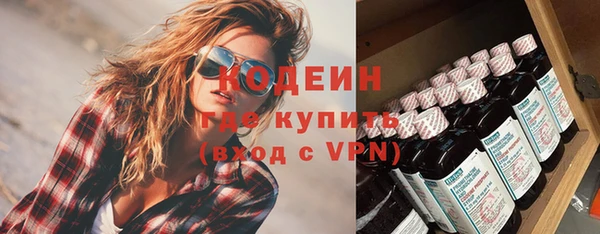хмурый Мегион