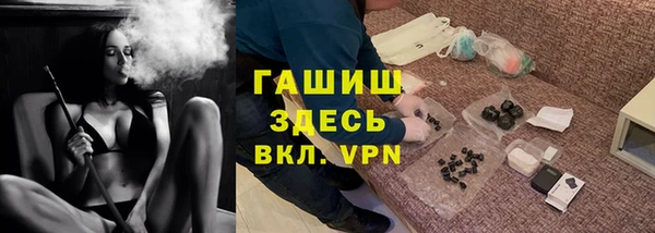 прущие грибы Михайловск