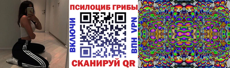 Псилоцибиновые грибы мухоморы  магазин продажи наркотиков  блэк спрут сайт  Тейково 