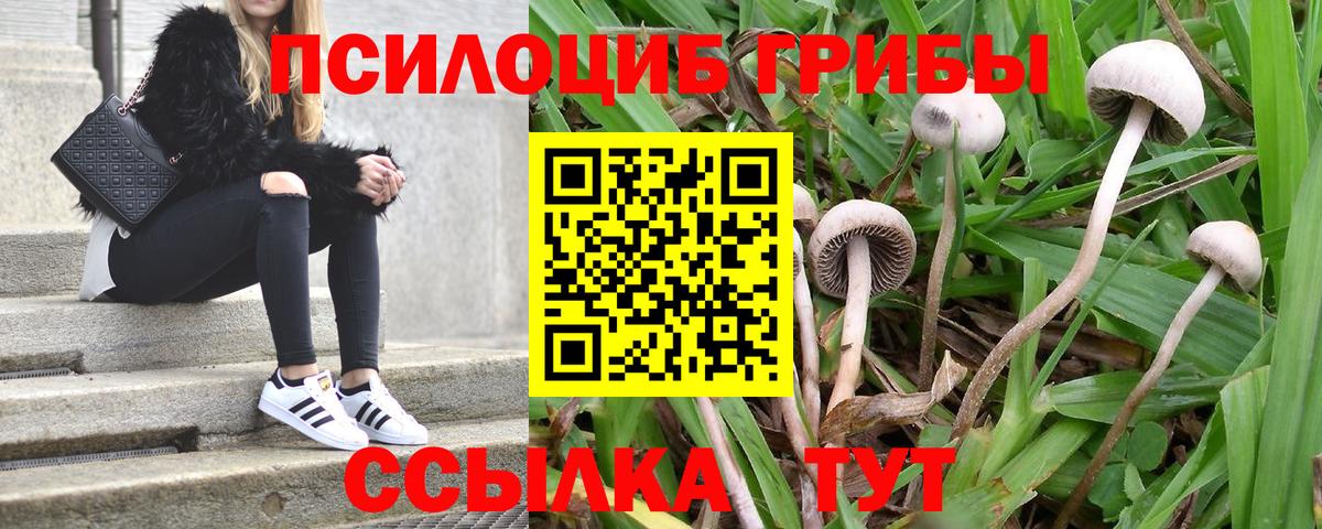 Галлюциногенные грибы GOLDEN TEACHER  Тейково 