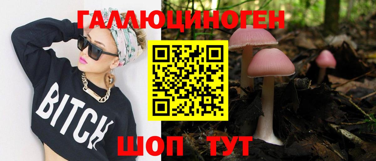 Тейково  Псилоцибиновые грибы MAGIC MUSHROOMS  даркнет сайт  Вход с VPN 